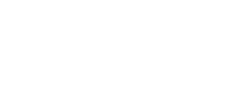 커넥트리플